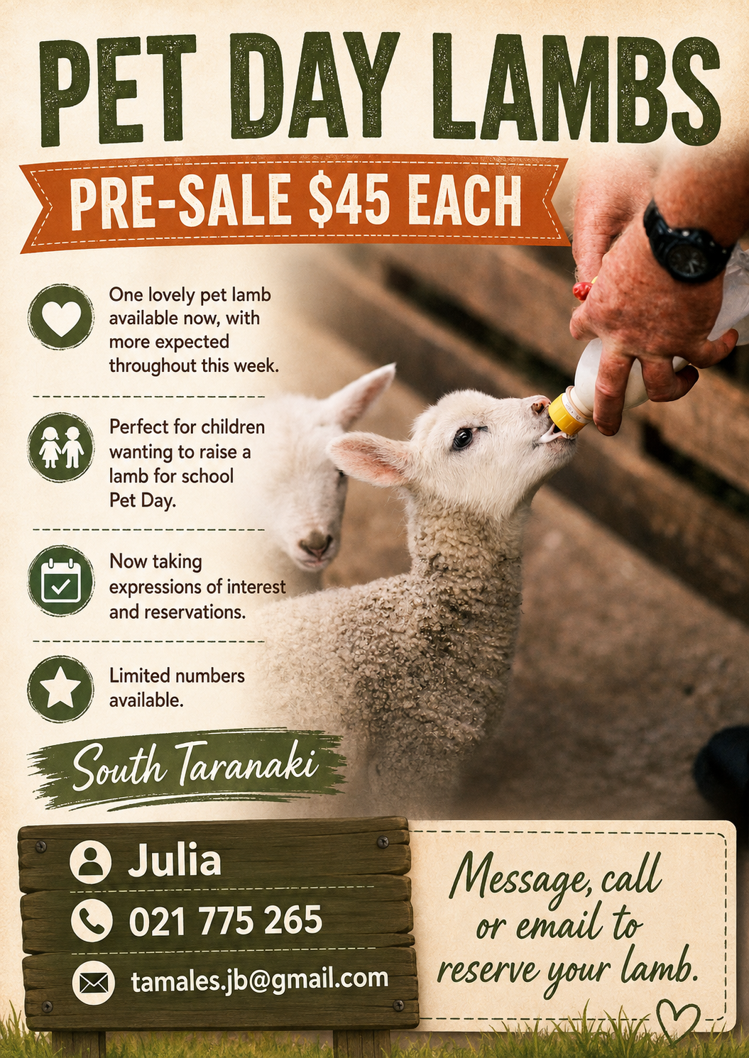 Lambs for Pet day- get your order in